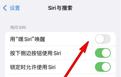 甘泉苹果13维修分享iPhone 13怎么唤醒 Siri  